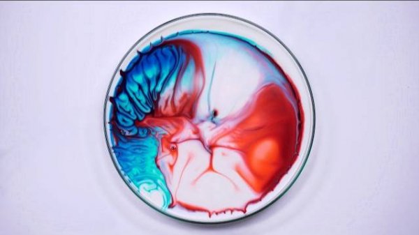 3 AMAZING COLOR EXPERIMENTS / EASY EXPERIMENTS