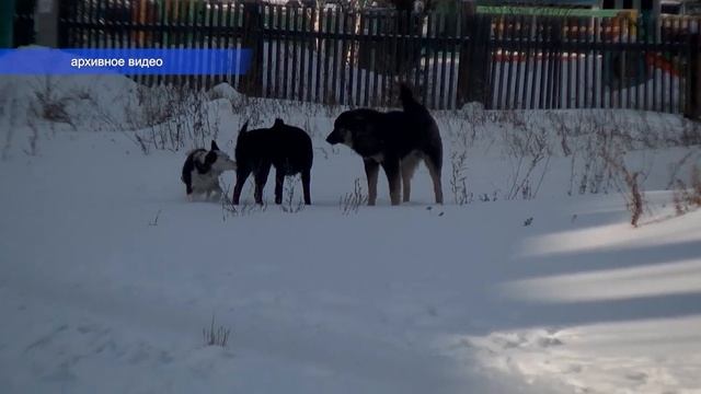 Коллаж 16.03.2023 смотреть онлайн