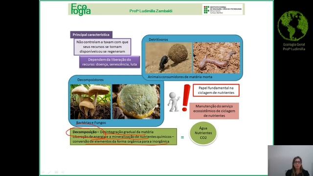 Ecologia: relacções ecológicas - saprótrofos смотреть онлайн