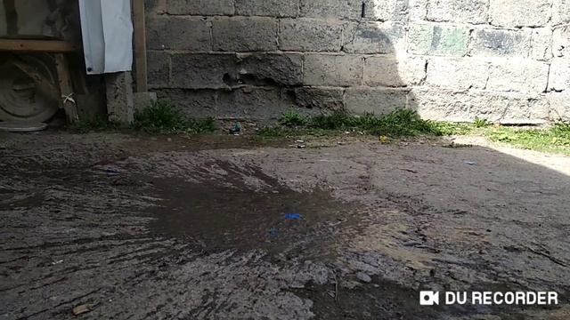 Шарик разбивается медленом режиме на землю (в конце не получивышся кадры) смотреть онлайн