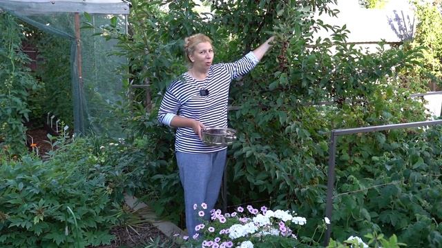 Как создать красивый сад? смотреть онлайн