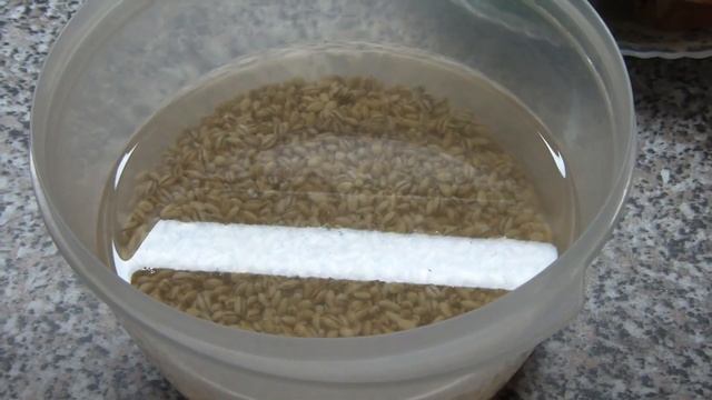 ЖИВЁМ СЕМЬЁЙ (4 ЧЕЛОВЕКА) на 6000 руб. ДЕНЬ 10. Много готовки. Кексы. Гарнир из перловки. Запеканка смотреть онлайн