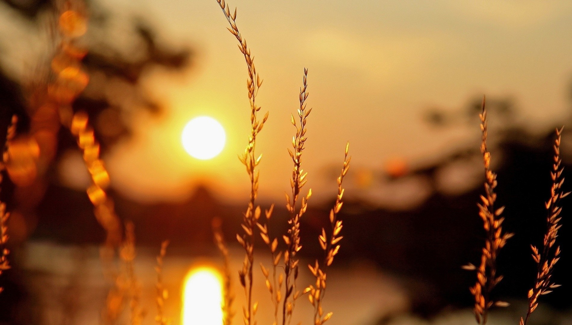 Тепло лучей