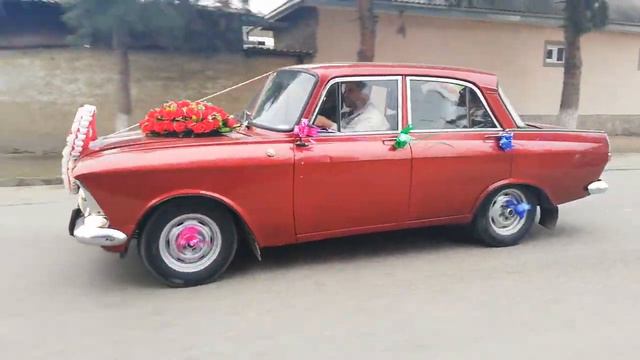 Туй дар ёвон мошина бинн смотреть онлайн