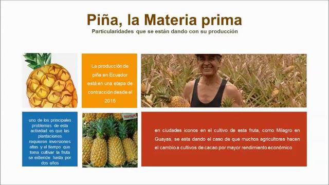 piñagua - bebida deliciosa, refrescante y saludable en bases a la cáscara de la piña смотреть онлайн