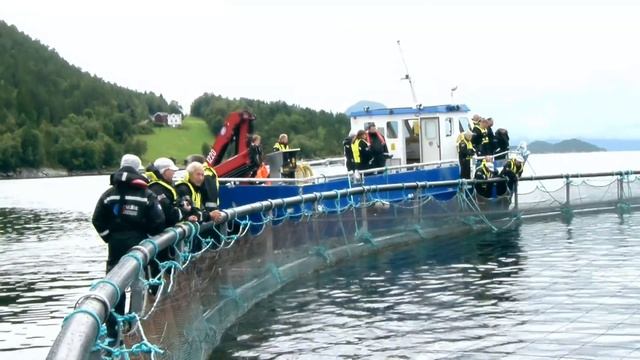 Лососевая ферма Норвегия смотреть онлайн