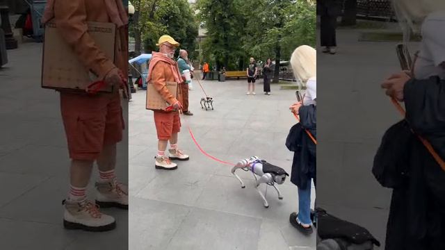 VID-20240613-WA0036.mp4 смотреть онлайн