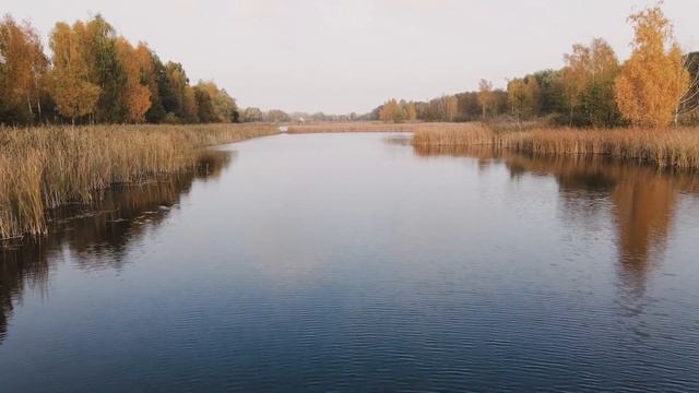 Когда начнётся осенний жор щуки? Как и на что ловить щуку в осенний жор? смотреть онлайн