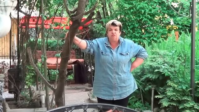 Вишня. Как Значительно Повысить Урожайность Вишен. Секреты Садоводства смотреть онлайн