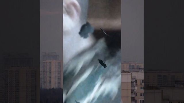 AST-NEWS.ru: Казачий кадетский корпус Астрахань смотреть онлайн