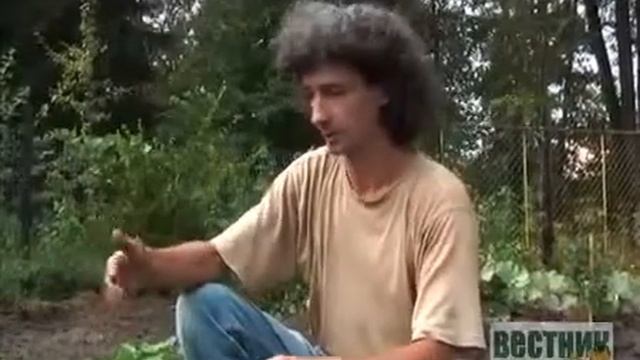 Как посадить огурцы смотреть онлайн