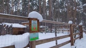 Ульяновский зоопарк в парке 40 летия ВЛКСМ на верхней террасе