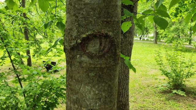 Основная камера POCO F5 Global - 4K 30 FPS + gyro-EIS смотреть онлайн