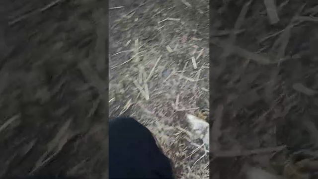 Зимой босиком. Это возможно. смотреть онлайн