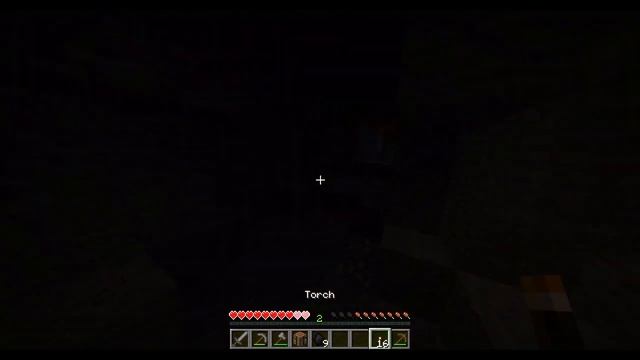 FINDING THE BLACK ENTITY IN JAVA EDITION (Mr.Torch seed) смотреть онлайн