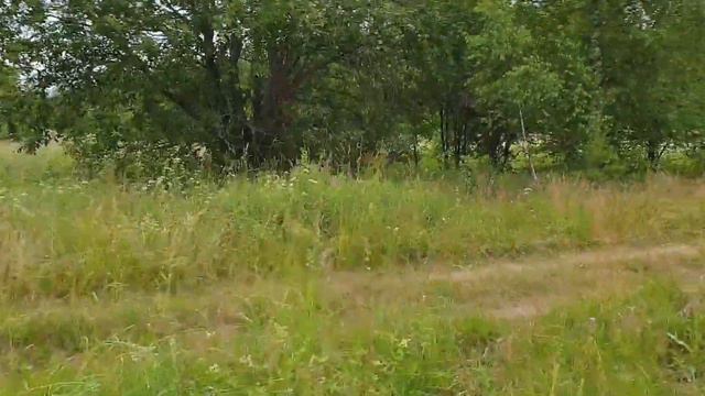 В Июле пожалуй всё! - часть 3. смотреть онлайн