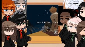 Harry Potter 6th grade react to y/n (new teacher) as Childe