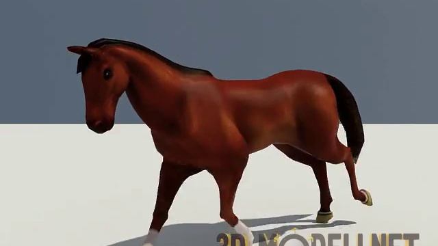 Лошадь с анимацией бега - 3D модель смотреть онлайн