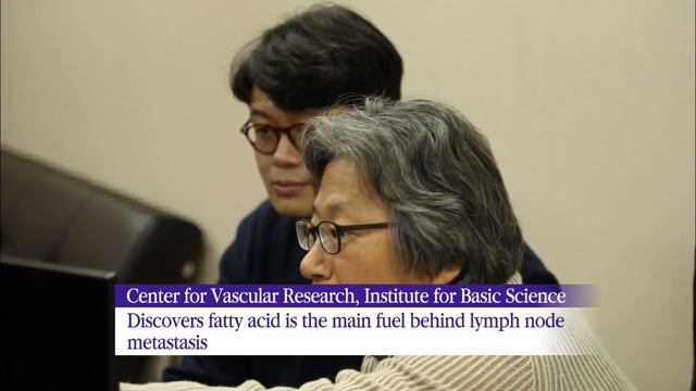 Cancer Research / KBS뉴스(News) смотреть онлайн