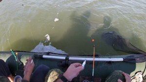 Двое в лодке. Рыбалка на кольцо. Дон.