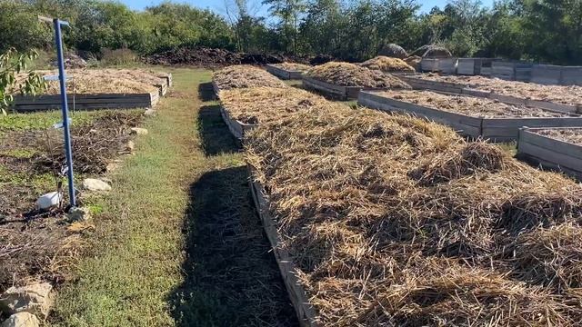 Успешное разведение червей без ошибок. Бизнес на червях и биогумусе. смотреть онлайн