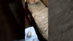 Замена ролика обводного ремня форд 2