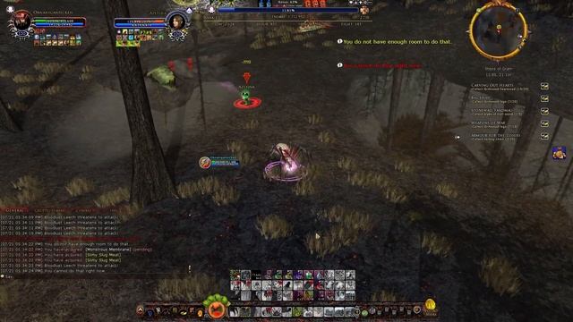 Lotro | Obnanigansicken on Evernight [EU] | Weaver | PvMP U24.1 смотреть онлайн
