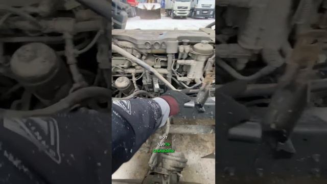 Номер двигателяMan TGL 12.250 2017 Мотор D0836 LFLAA Обьем 6871 см3 Поиск,проверка авто 8903360262 смотреть онлайн