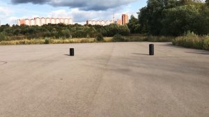 Колонка 10» (EL10-25 DANCE BOX 300) динамик 2шт/10» ELTRONIC с TWS Мощная (19 сентября 2020 г.)