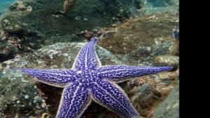 Природа Приморского края. Красивые виды, красивые места.