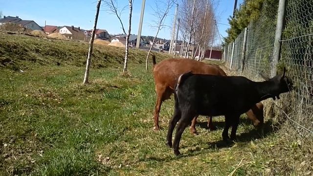 мурсия-гранада весна 2019 смотреть онлайн