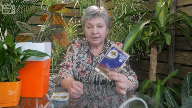 Мучнистая роса на растениях ➡ Как бороться и чем лечить? Советы эксперта❗ смотреть онлайн