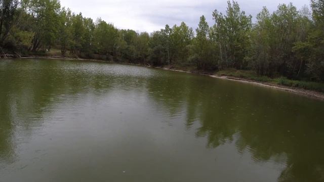 КАРПЫ НА ПОПЛАВОК из гусиного пера. Чуть без удочки не остался. Рыбалка 2022 смотреть онлайн