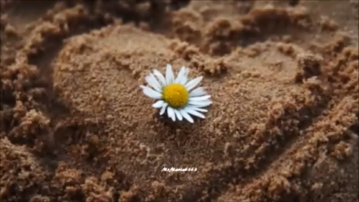 Pat Boone - Love Letters In The Sand _x264