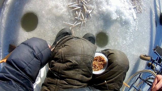 Открытие подлёдной ловли, ловля писуча или мелкой корюшки. Кипарисово в торой мост. 2020 смотреть онлайн