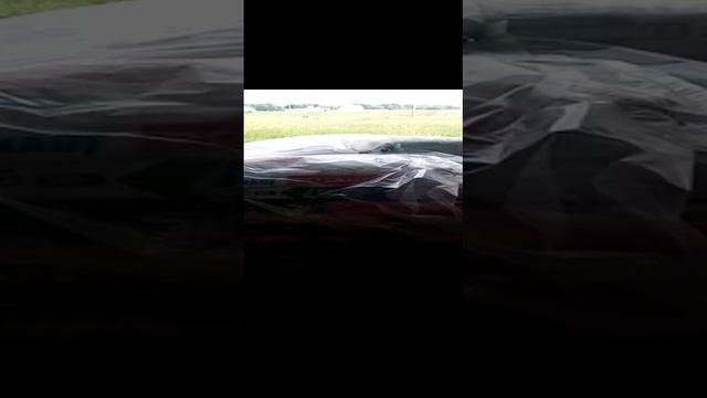 31 VID-20220629-WA0001.mp4