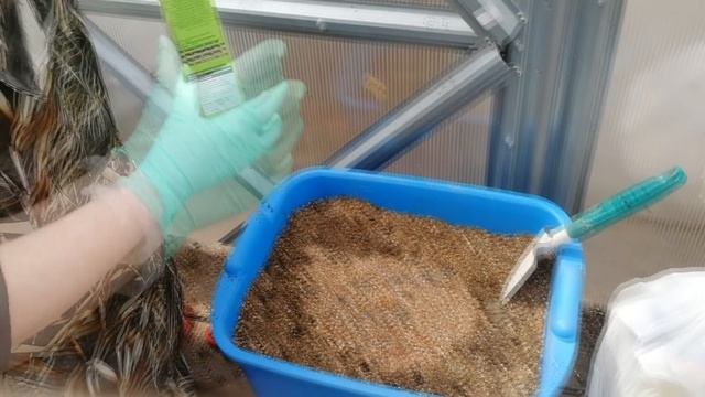 Оксана Филиппова. Клубника Фриго. смотреть онлайн