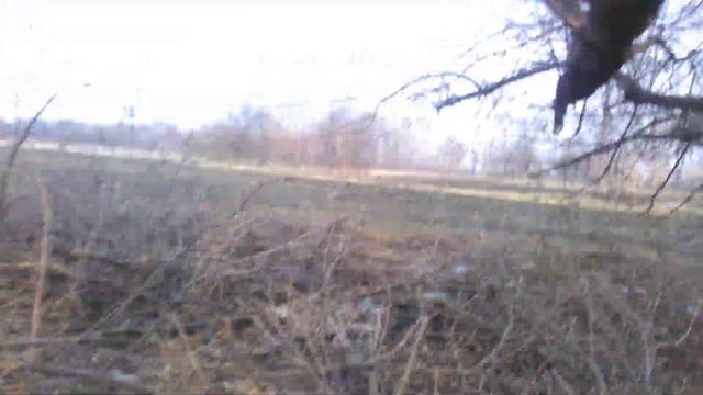 Жах!!! Ви тільки подивіться на це!!! Екологія України під загрозою #забруднення #довквлля смотреть онлайн