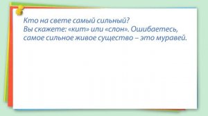 Что такое текст рассуждение Видеоурок по русскому языку 2 класс