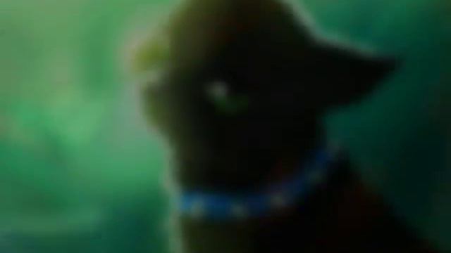 Коты Воители Бич! смотреть онлайн