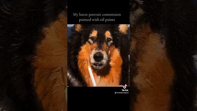 Border Collie Commissioned Oil Portrait смотреть онлайн