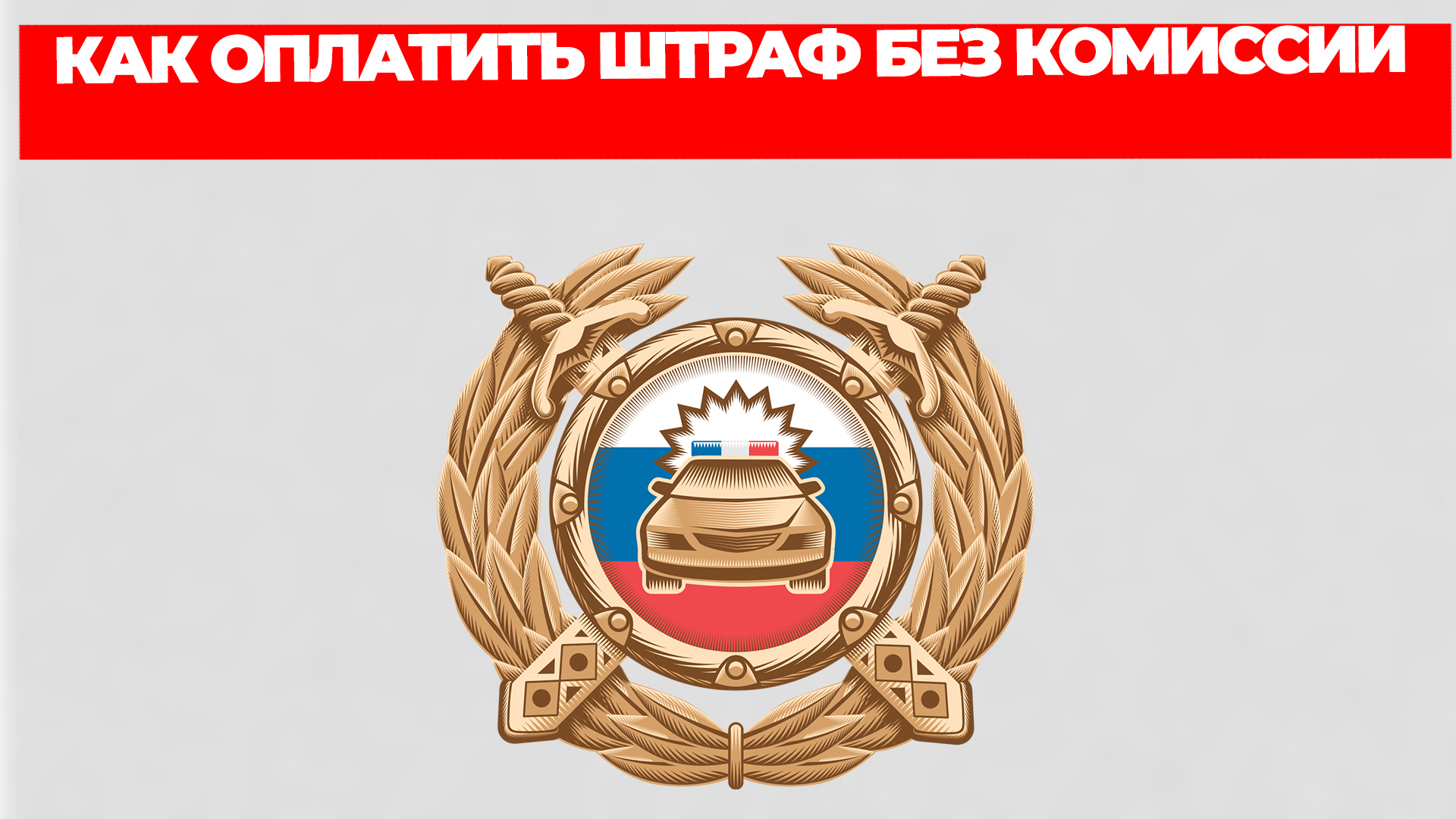 Всезнающий Енот