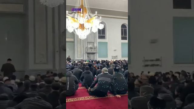 Назму Тавба смотреть онлайн
