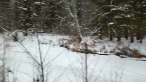 Тестирую мотобуксировщик/На что способна мотособака 6.5 л.с.