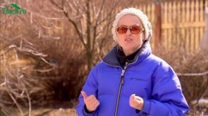 ?? Подготовка семян моркови, петрушки и укропа к посеву в грунт - 7 дач