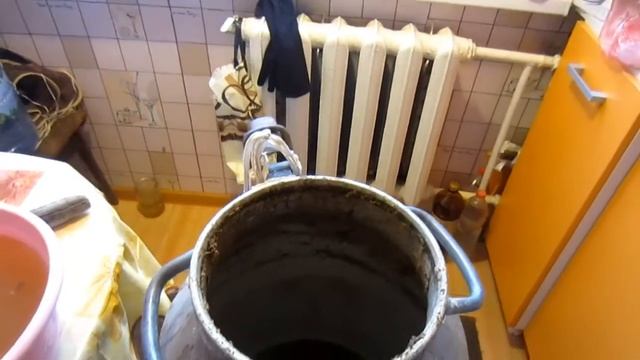 Животные в Зоопарках