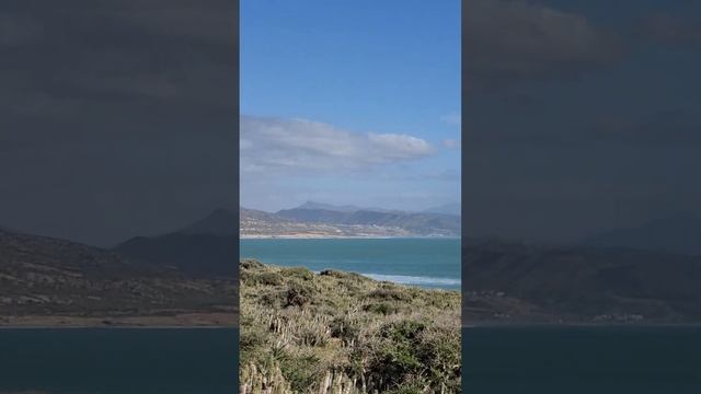 cactus, désert et Océan à perte de vue au Maroc. смотреть онлайн