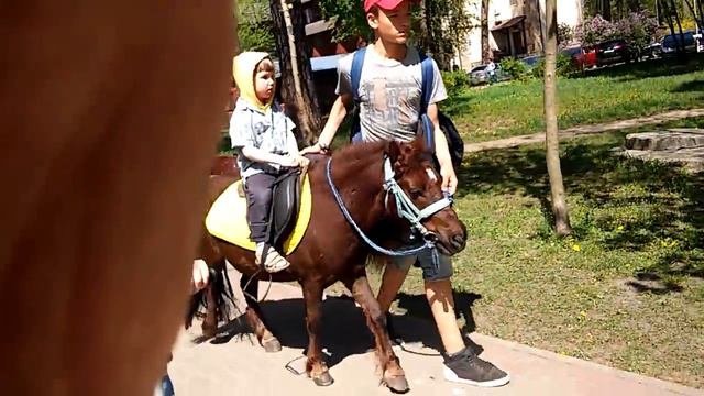 🏇 Радомир. Ярослав. 1 мая 2018(3) ‼️ Парк партизанской славы. Киев. Украина. 🇺🇦 смотреть онлайн