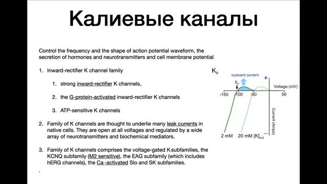 Каналы и рецепторы в головном мозге смотреть онлайн