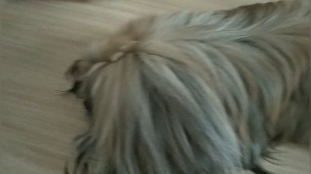 НОВЫЙ РАЙОН,НОВЫЕ ИГРУШКИ ДЛЯ КОДИ . смотреть онлайн